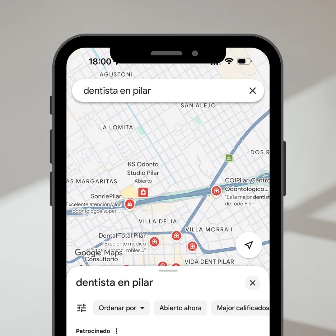 Diseño web profesional para negocios y emprendimientos en Pilar Buenos Aires