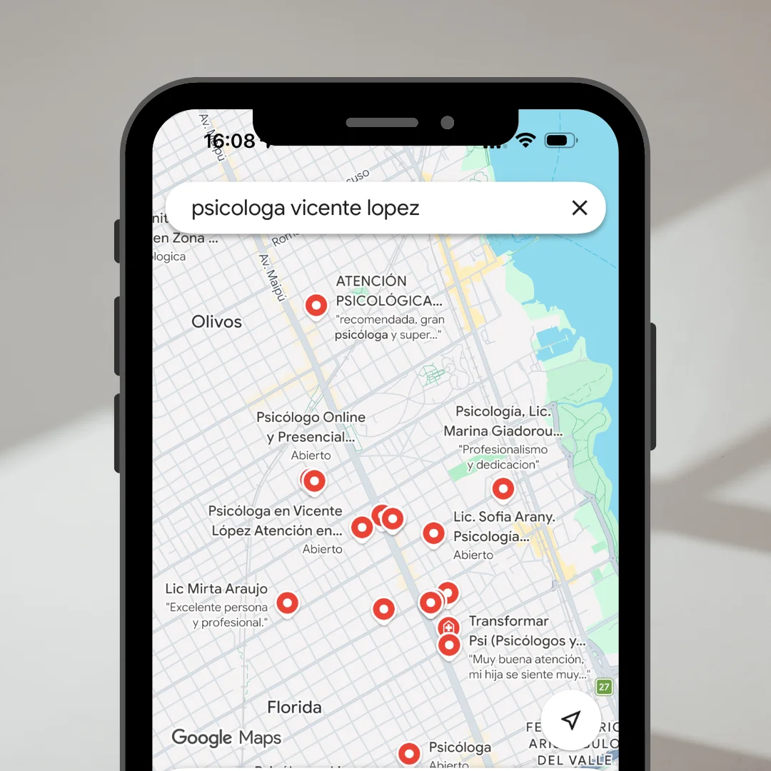 Diseño web profesional para negocios en Vicente López Olivos y Florida Buenos Aires